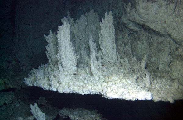 The Lost City Hydrothermal Field, an area of marine alkaline hydrothermal vents located on the Atlantis Massif at the intersection between the Mid-Atlantic Ridge and the Atlantis Transform Fault, in the Atlantic Ocean.