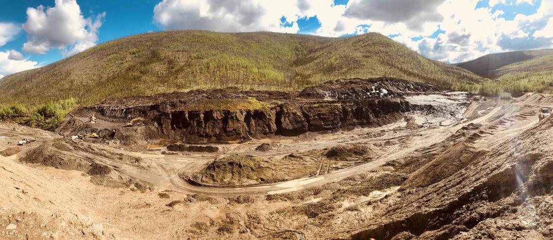 Miners working on Eureka Creek in the Yukon uncovered the frozen woolly mammoth while excavating through the permafrost within Trʼondëk Hwëchʼin Traditional Territory. 