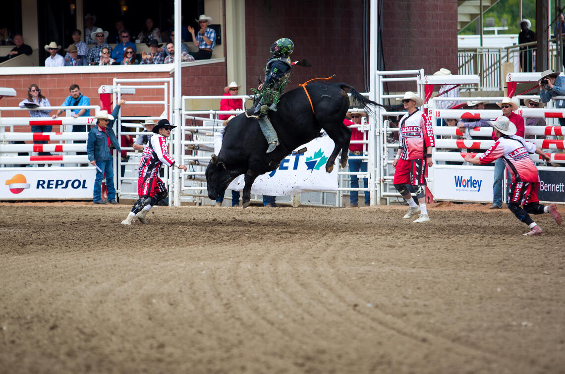 Stampede rodeo bull rider 