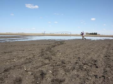 Spring Flooding