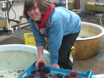 A student holds a tray of sea anemones