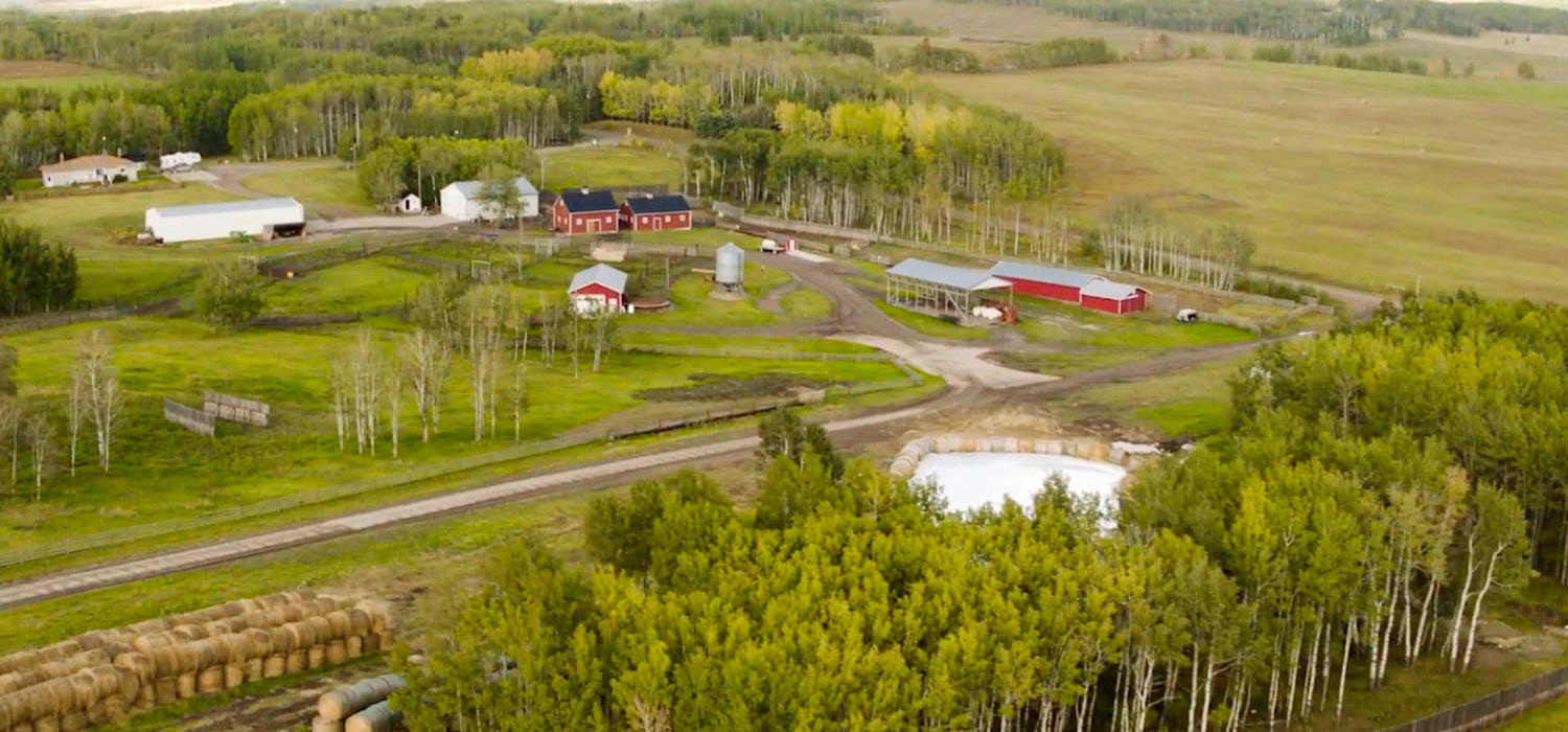 Drone shot of W.A. Ranches at the University of Calgary, a 19,000-acre cattle ranch just west of Calgary.