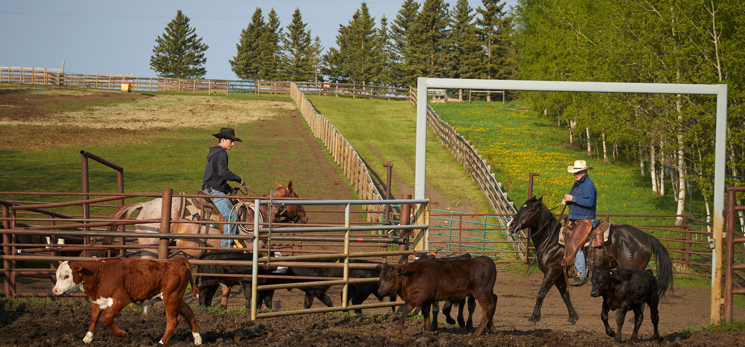 From health to safety, range riders are responsible for the well-being of the herd.