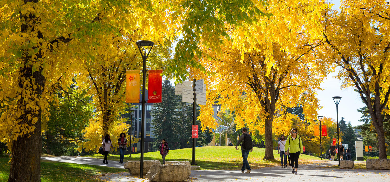 Fall on campus