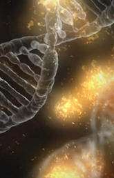 DNA illusttration
