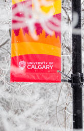 University of Calgary campus