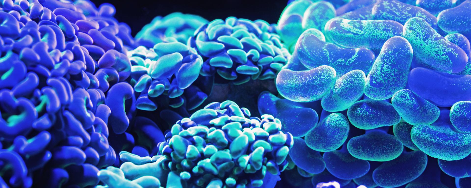 2021 Mini-Symposium on Paediatric Neural Tumors