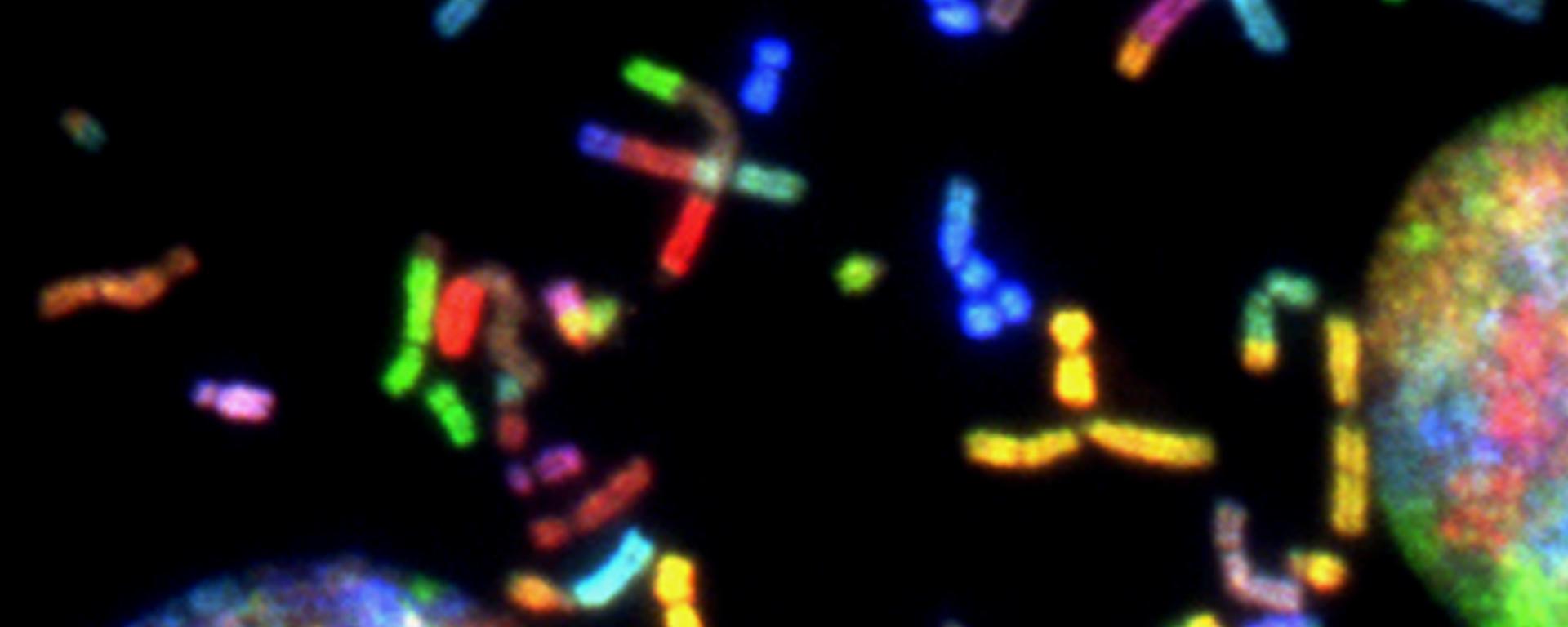 Postmitotic Somatic Mutations